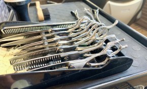 理容師という選択肢が「かっこいい」時代へ